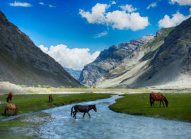 LEH-LADAKH