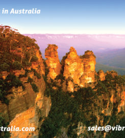 Vibrant Tours Pty Ltd