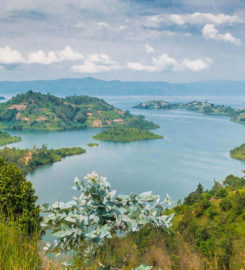 Wildlife tours – Rwanda