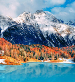 Classic Travels & Tours